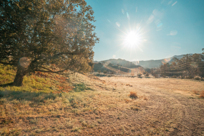 Malibu Valley